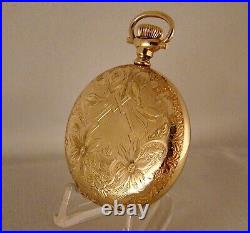 118 YEARS OLD WALTHAM 14k GOLD FILLED HUNTER CASE FANCY DIAL 16s POCKET WATCH