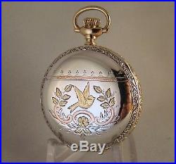 120 Years Old Waltham Multicolor Sterling Silver Hunter Case Great Pocket Watch