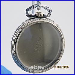 16s Star WCCo, Snap-Cover, Brushed Stainless pocket watch case (SD19)
