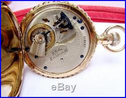 1888 ROCKFORD 15J Pocket Watch MINT DIAL in DEER ENGRAVED Hunter Case 18s Runs