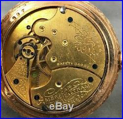 1893 Waltham GF Hunter Case Ladies Pocket Watch-Gorgeous Dial-Enameled Cover