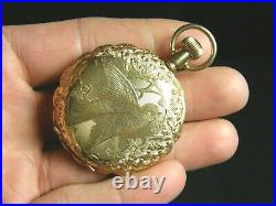 1895 Elgin Pocket Watch Grade 121 mod. 2 6s Gold Filled Sparrow Bird Fancy Case