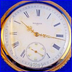1900 Elgin National Watch Co. Pocket Watch 15J Fancy Dial 14k Gold Hunter Case