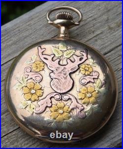 1914, Illinois Size 12, Full Hunter, Tri Color Pocket Watch. FREE SHIPPING