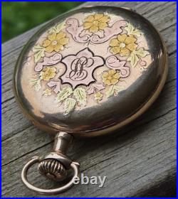 1914, Illinois Size 12, Full Hunter, Tri Color Pocket Watch. FREE SHIPPING