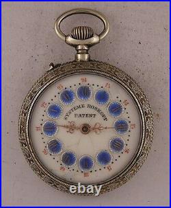 AMAZING Systeme Roskopf 1900 Swiss Pocket Watch UNIQUE CASE & DIAL MINT Serviced