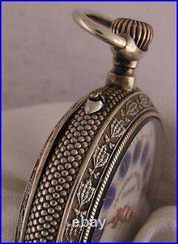 AMAZING Systeme Roskopf 1900 Swiss Pocket Watch UNIQUE CASE & DIAL MINT Serviced