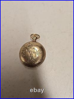 Antique 1900 Elgin 222 0s 7j Pocket Watch Wadsworth 10ktGF 20yr Hunter Bird Case