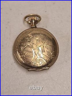 Antique 1900 Elgin 222 0s 7j Pocket Watch Wadsworth 10ktGF 20yr Hunter Bird Case
