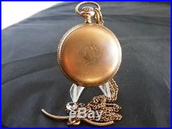 Antique 6s Waltham Fancy Dial Gold Filled Hunter Case Pocket Watch