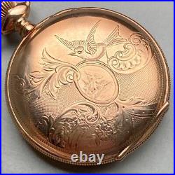 Antique ELGIN Pocket Watch Gold Full Hunter Case 8 Size 7 Jewels Vintage 1902