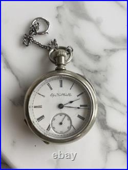 Antique Elgin National Watch Co Pocket Watch Silveroid Case Roman Dial