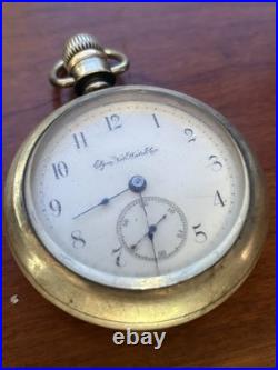 Antique Elgin Natl Watch Co Pocket Watch Running Bullseye Case WORKS