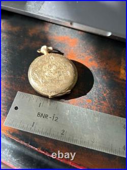 Antique Elgin Pocket Watch 17 Jewels Dueber Watch Case Fancy Case