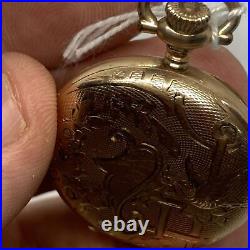 Antique -GF HUNTER CASE with BIRDS LADIE'S ELGIN POCKET WATCH O 15 Jewel 1909