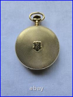 Arnex 17 Jewels Full Hunter Yellow Gold Vintage Customized Pocket Watch