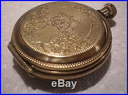 Beautiful 1889 18s Solid Gold Brooklyn Eagle 8K Elgin Hunter Case Pocket Watch