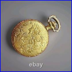 Dorley Swiss Pocket Watch Gold Filled Ornate Engraved Hunter Case Roman Numerals
