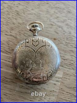 ELGIN Hunters CASE POCKET WATCH With20 YR GF Size 16 1909 Beautiful Dial