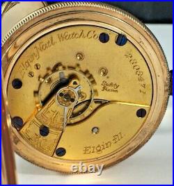 Elgin Men's Pocket Watch, Parts or Repair, Case Marked Lion Warranted, 18s, 96