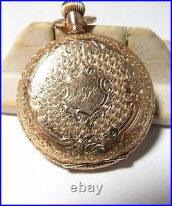 Fancy Dial Antique Gold Filled Waltham Huntuing Case Pocket Watch Grade Seaside