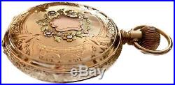 Gorgeous Rare Elgin14K Multi Color Gold Case Pocket Watch 16s Circa 1910