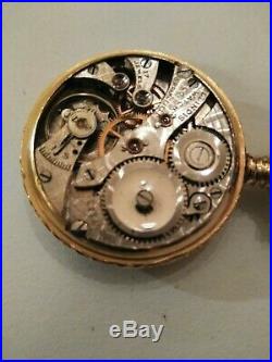 Illinois 6/0 size high grade 17 jewels adjusted fancy dial gold train nice case