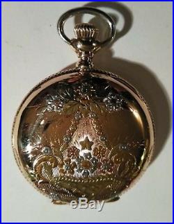 Lady Waltham Mint Fancy Dial Multi-color hunter case 16 jewels near mint
