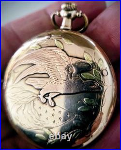 Multi Color Open Face Pocket Watch Case 12 Size 20 years GF S. W. C. CO