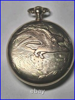 Multi Color Open Face Pocket Watch Case 12 Size 20 years GF S. W. C. CO