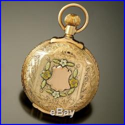 Multicolor Gold Waltham Pocket Watch 18 Size Stag Hunter Case 17 Jewel Ca1900