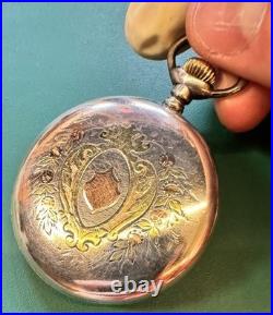 Multicolor Sterling case 12s Waltham OF pocketwatch RUNS 1913 No220 15j 1895