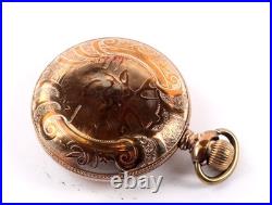 Pocket Watch Case 18 Size Monitor WithStag-BD-281