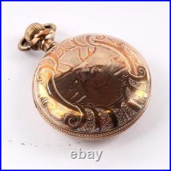 Pocket Watch Case 18 Size Monitor WithStag-BD-281