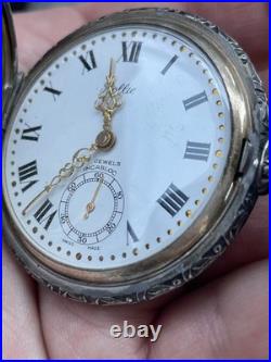 Rare Rollie 17 Jewels Incabloc Hunter's Case Pocket Watch Nature Scene