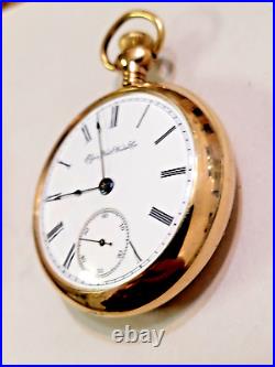 Vintage 1888 Elgin Pocket Watch, Train Case, Size 18, Gold Filled case