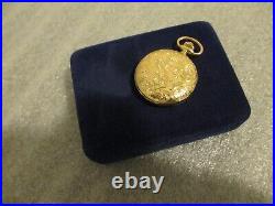 Vintage Arnex 17j Incabloc Gold Plate Hunter Pocket Watch Black Dial-serviced
