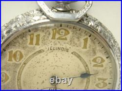 Vintage Art Deco Model 3 Illinois 17 Jewel Pocket Watch Supreme Case Working