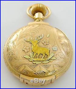 Waltham pocket watch in 14K multicolor gold true box hinge hunter case rf51433